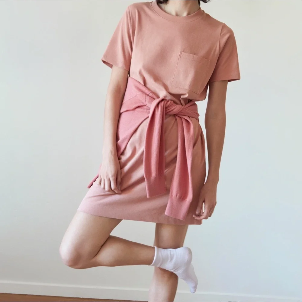 Everlane Cotton Weekend Tee Dress XS EUC in Neutral Pink Beige